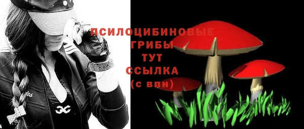 ешки Аркадак
