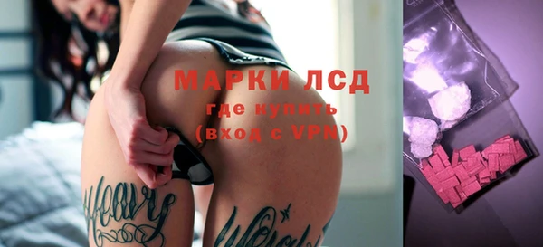 прущие грибы Алзамай