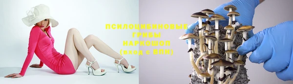 прущие грибы Алзамай