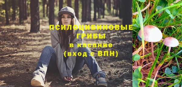 прущие грибы Алзамай